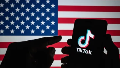 Will TikTok Survive in the US