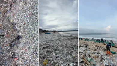 Volunteers Clean Bali Beaches