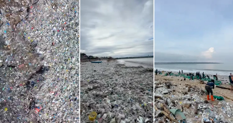 Volunteers Clean Bali Beaches