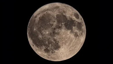 Super blue moon as seen through a telescope.