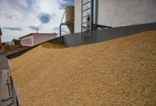 Global Rice Prices Drop