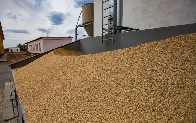Global Rice Prices Drop