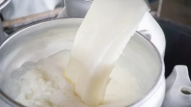 Raw milk outbreak Florida